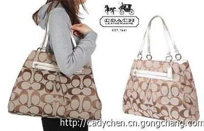 快件進口蔻馳的貨運代理與香港進口蔻馳的貨運公司全解析